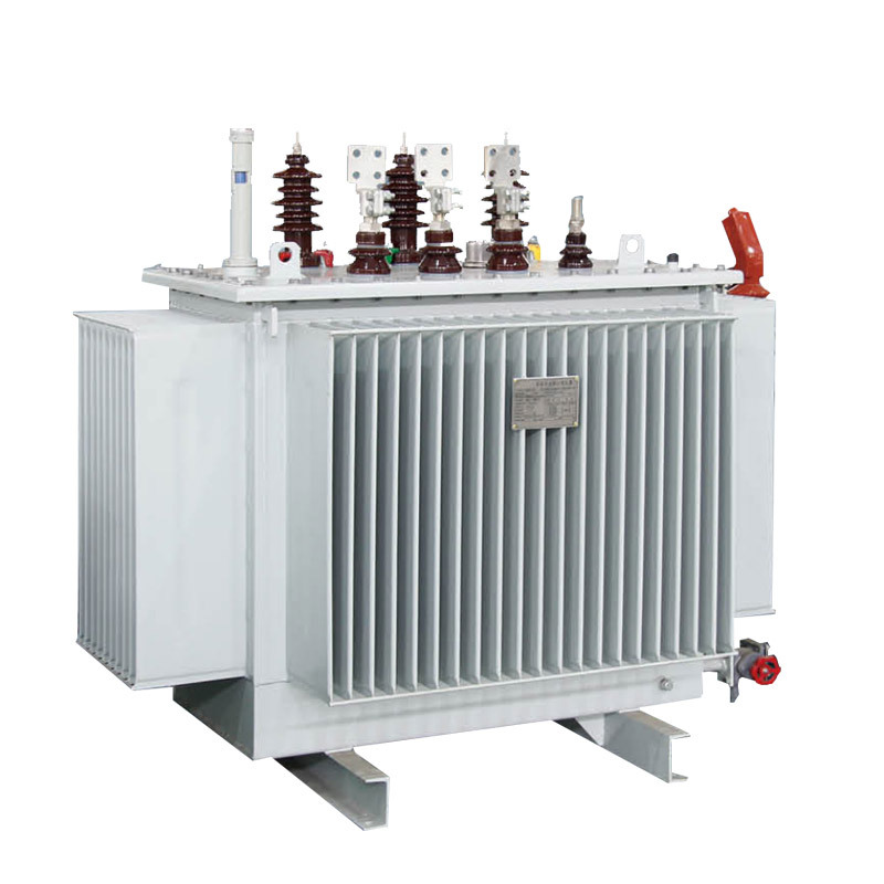 10kV/20kV S13/S20/S22 محولات توزيع مغمورة بالزيت